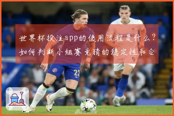 世界杯投注app的使用流程是什么？如何判断小组赛竞猜的稳定性和合规性？
