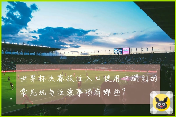 世界杯决赛投注入口使用中遇到的常见坑与注意事项有哪些？